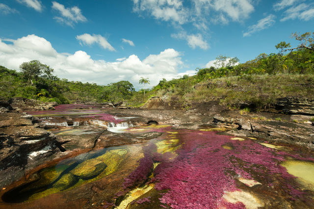 Rondreis Colombia Meta La Macarena Cano Cristales overzichtsfoto