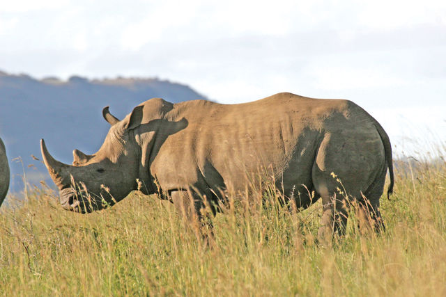 Rondreis Guesthouses in Zuid-Afrika - AmbianceTravel