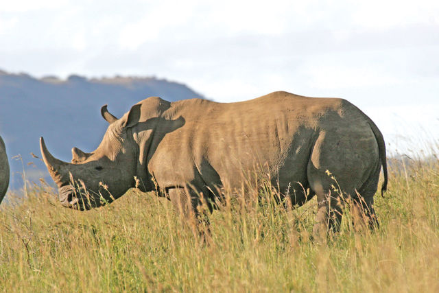 Rondreis Guesthouses in Zuid-Afrika - AmbianceTravel