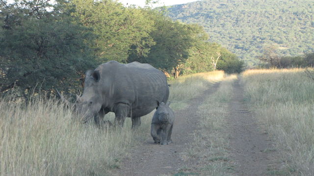 Rondreis Guesthouses in Zuid-Afrika - AmbianceTravel