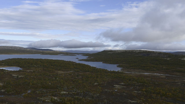 Landschap Røros Trøndelag Noorwegen