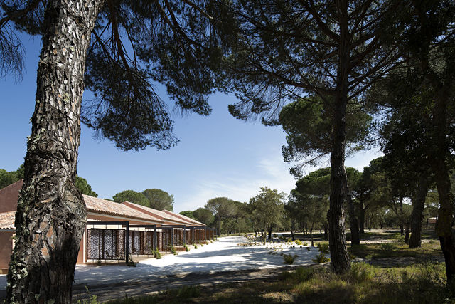 Luxe rondreis van Porto naar Algarve - Portugal | AmbianceTravel