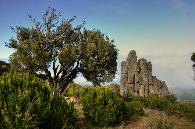 Portugal Madeira Santana natuur