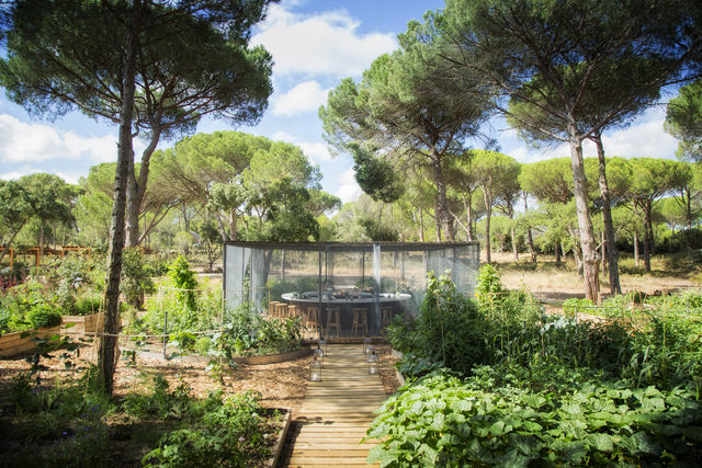 Luxe rondreis van Porto naar Algarve - Portugal | AmbianceTravel
