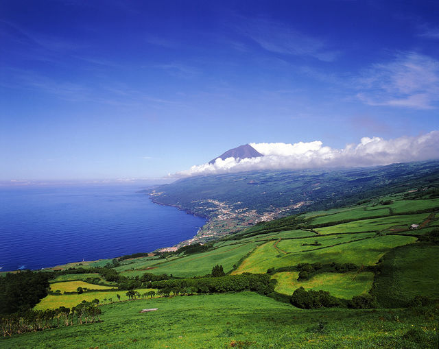 Kust Landschap Pico Azoren