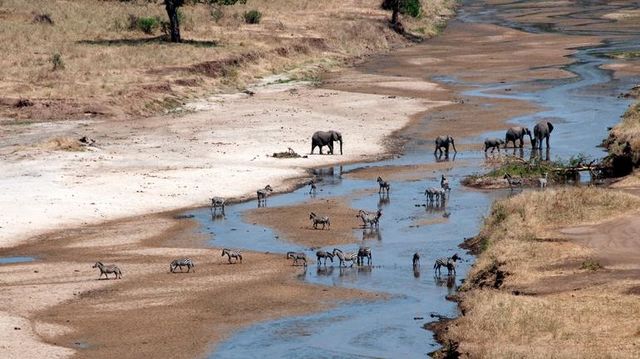 Safari rondreis Tanzania Tarangire