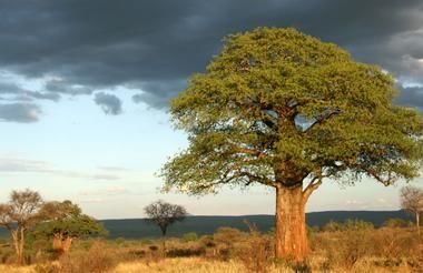 Het beste van Tanzania en Zanzibar, individueel of in een klein groep - AmbianceTravel