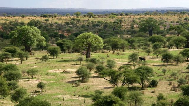 Het beste van Tanzania en Zanzibar, individueel of in een klein groep - AmbianceTravel