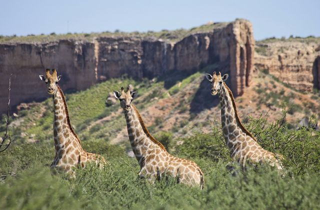 Exclusieve groepsreis magisch Namibië - AmbianceTravel