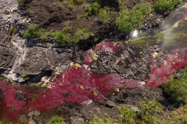 Rondreis Colombia Meta La Macarena Cano Cristales luchtfoto