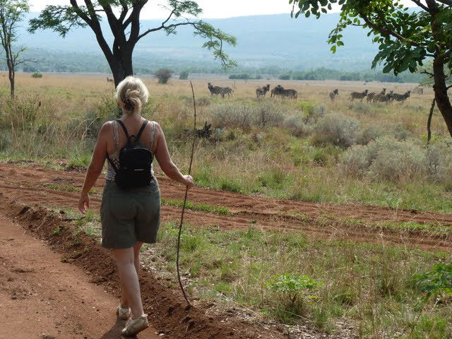 Rondreis Oosten van Zuid-Afrika - AmbianceTravel