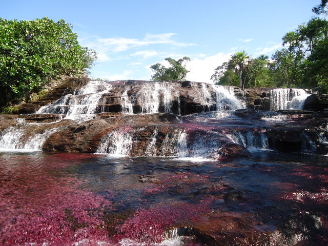 Rondreis Colombia Meta La Macarena Cano Cristales waterval met rode kleur