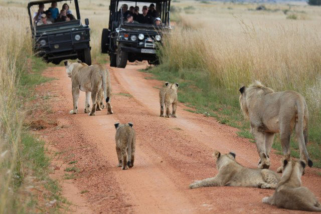 Rondreis Oosten van Zuid-Afrika - AmbianceTravel