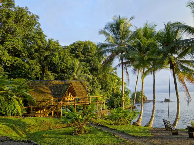 Rondreis Colombia Choco Nuqui El Cantil Ecolodge het centrale gedeelte badend in de zon