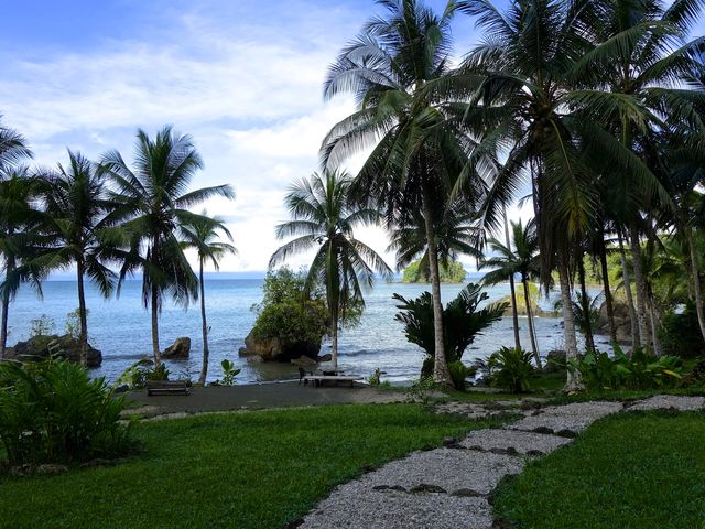 Rondreis Colombia Choco Nuqui El Cantil Ecolodge palmen langs strand