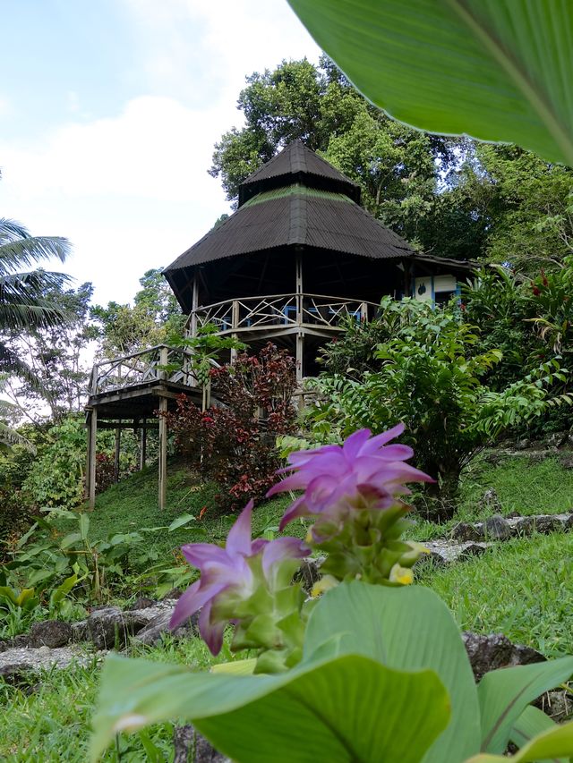 Rondreis Colombia Choco Nuqui El Cantil Ecolodge uitzichtshut