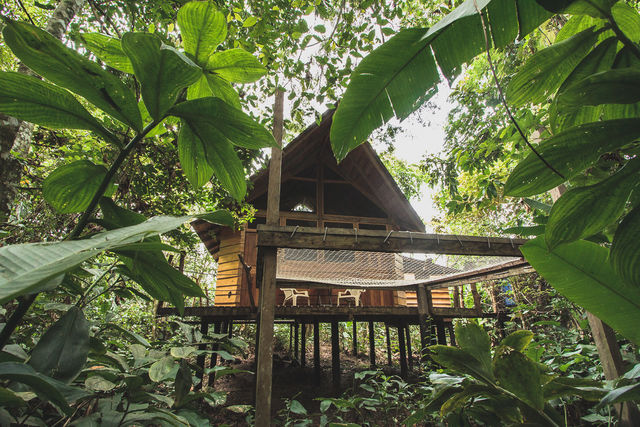 Rondreis Colombia Meta La Macarena Manigua Lodge een cabin bij daglicht