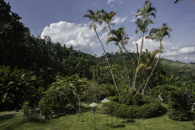 Rondreis Colombia Quindio Manizales Hacienda Venecia de tuin van het hotel