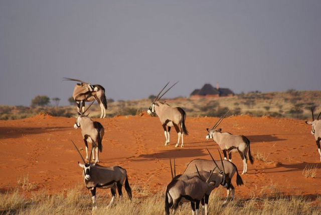 Exclusieve groepsreis magisch Namibië - AmbianceTravel