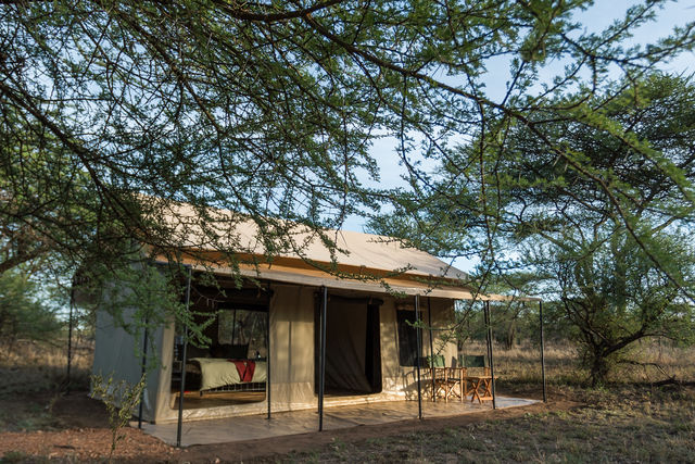 Rondreis Tanzania Serengeti double