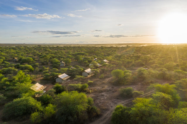 Rondreis Tanzania Serengeti