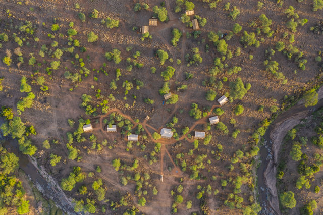 Rondreis Tanzania Serengeti luchtfoto
