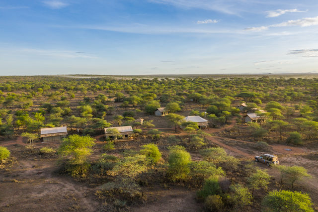 Rondreis Tanzania Serengeti