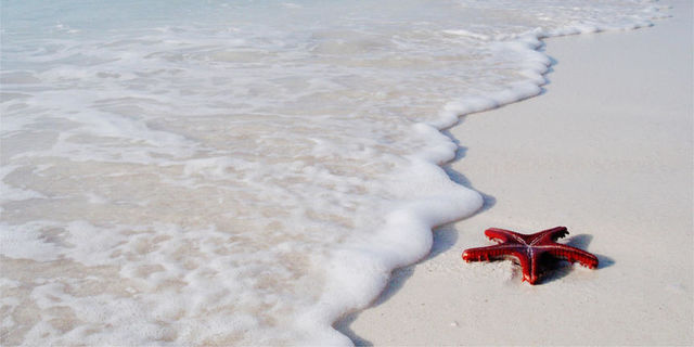 Het beste van Tanzania en Zanzibar, individueel of in een klein groep - AmbianceTravel