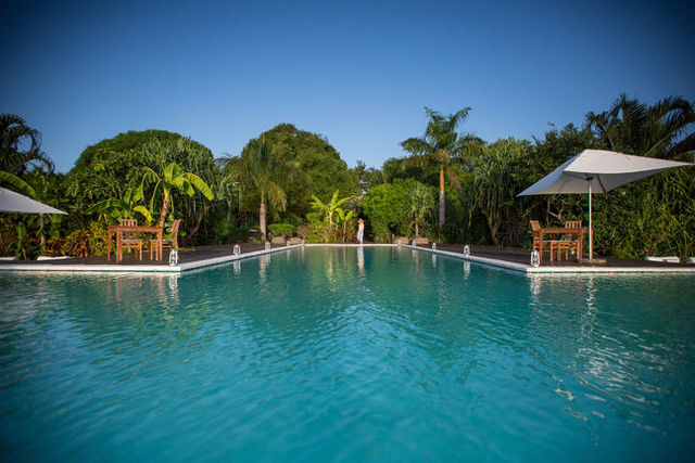 Het beste van Tanzania en Zanzibar, individueel of in een klein groep - AmbianceTravel