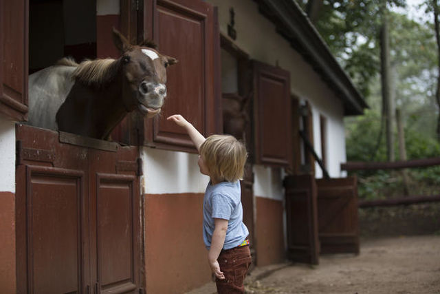 Het beste van Tanzania en Zanzibar, individueel of in een klein groep - AmbianceTravel