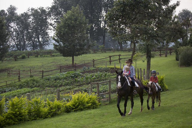 Het beste van Tanzania en Zanzibar, individueel of in een klein groep - AmbianceTravel