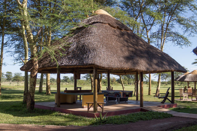 Rondreis Tanzania Lake Manyara