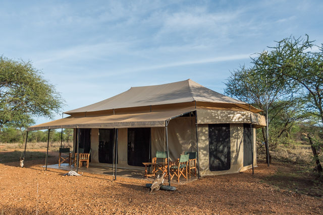 Rondreis Tanzania Serengeti