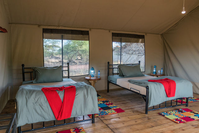 Rondreis Tanzania Serengeti twin