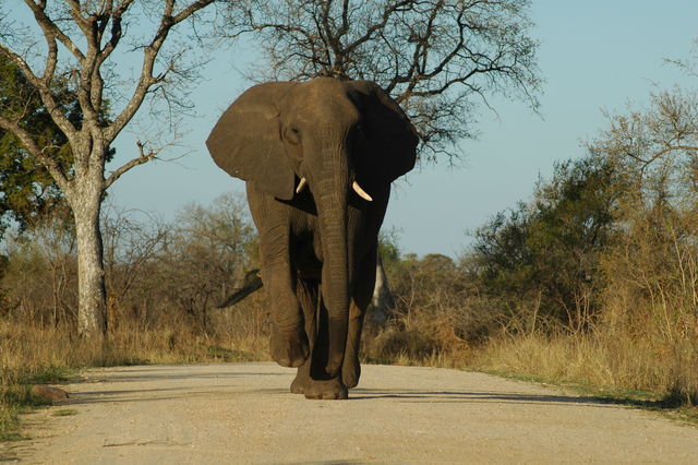 Rondreis Oosten van Zuid-Afrika - AmbianceTravel