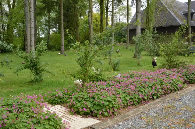 Rondreis Normandië en de ciderroute - AmbianceTravel