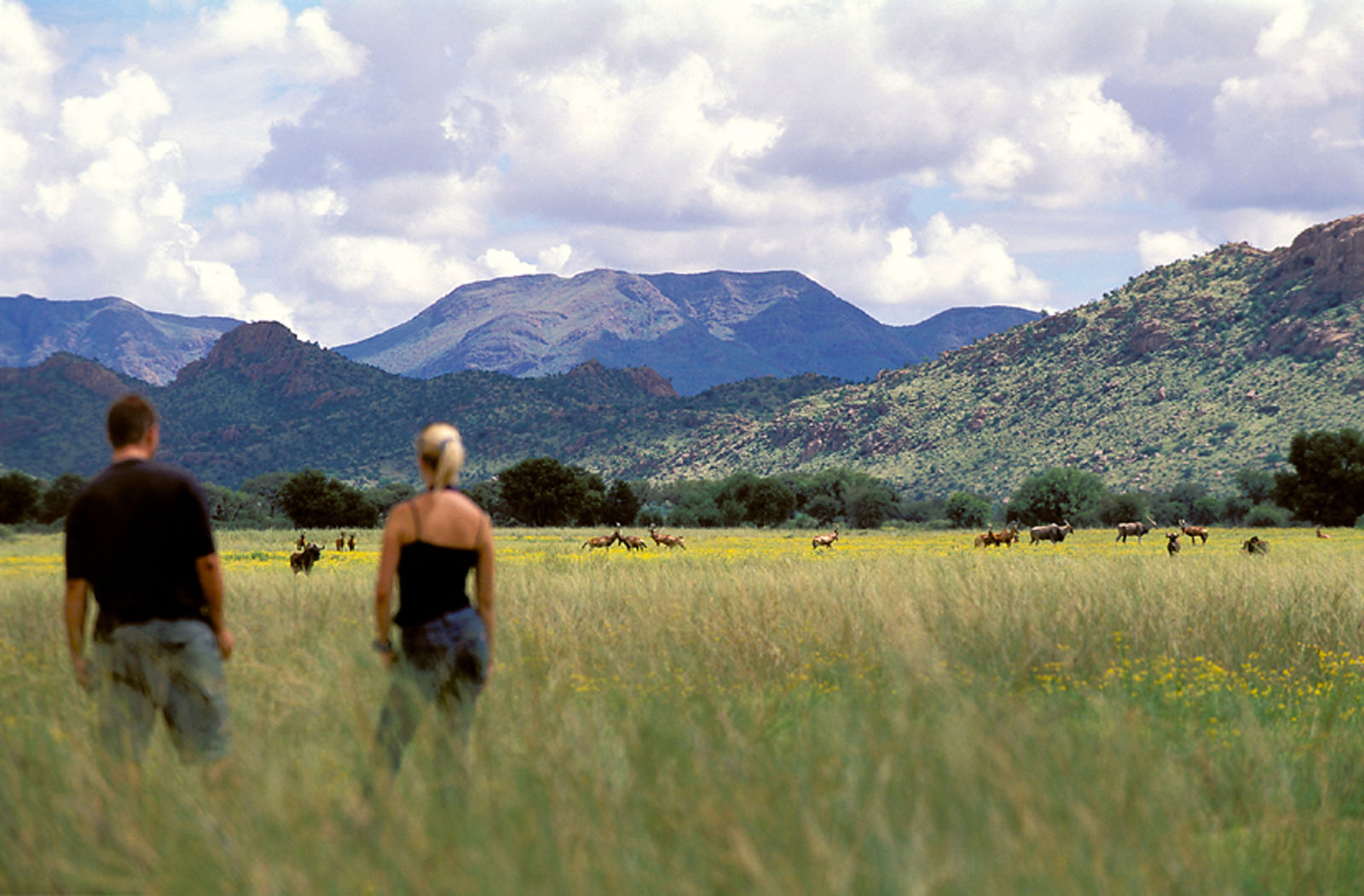 Namibie: land van onaards mooie landschappen - AmbianceTravel