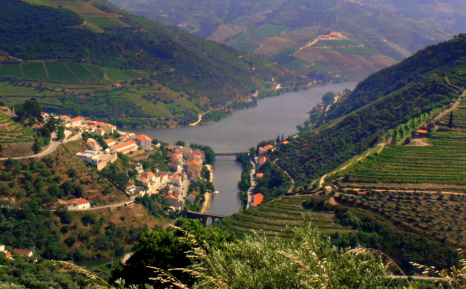 Bezoek de wieg van de portwijn in de Douro-vallei - AmbianceTravel