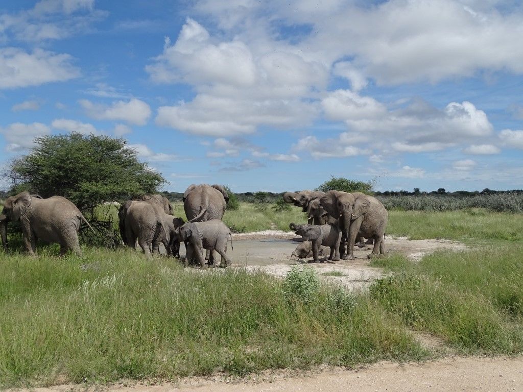Namibie: land van onaards mooie landschappen - AmbianceTravel