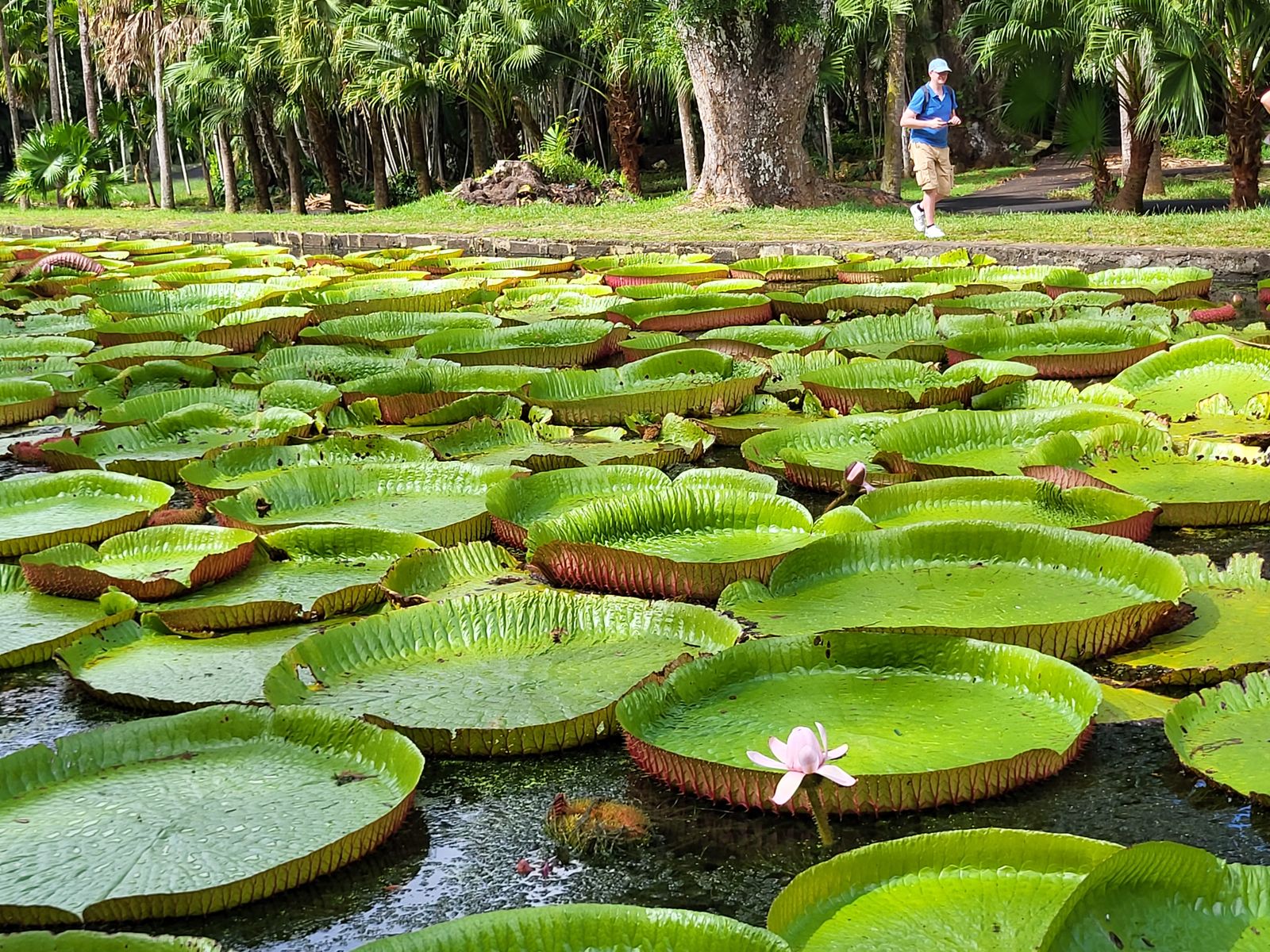 Twee uitzonderlijke banen op het landgoed bij de Heritage hotels op Mauritius - AmbianceTravel