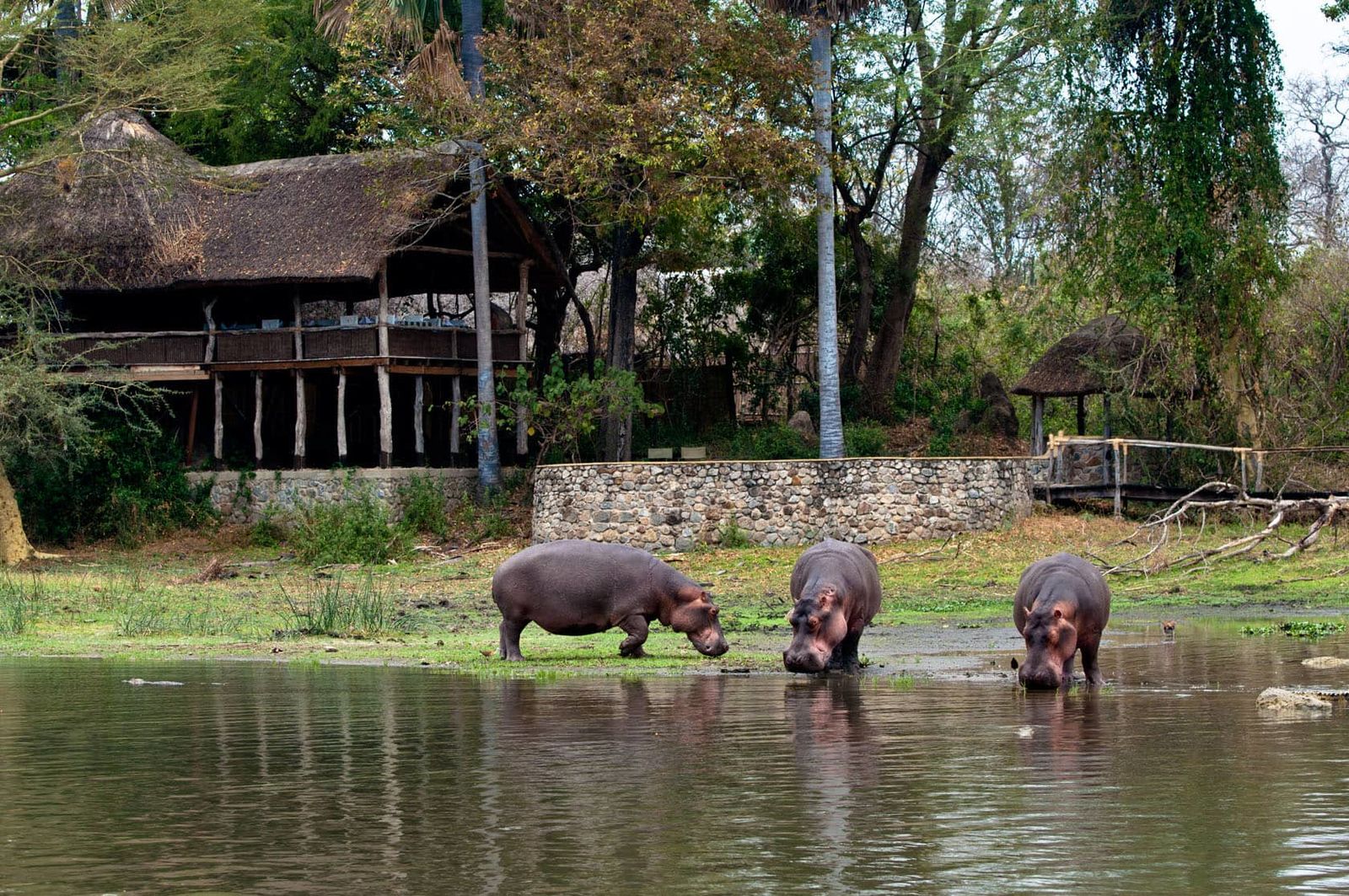 Rondreis Malawi hoogtepunten - AmbianceTravel