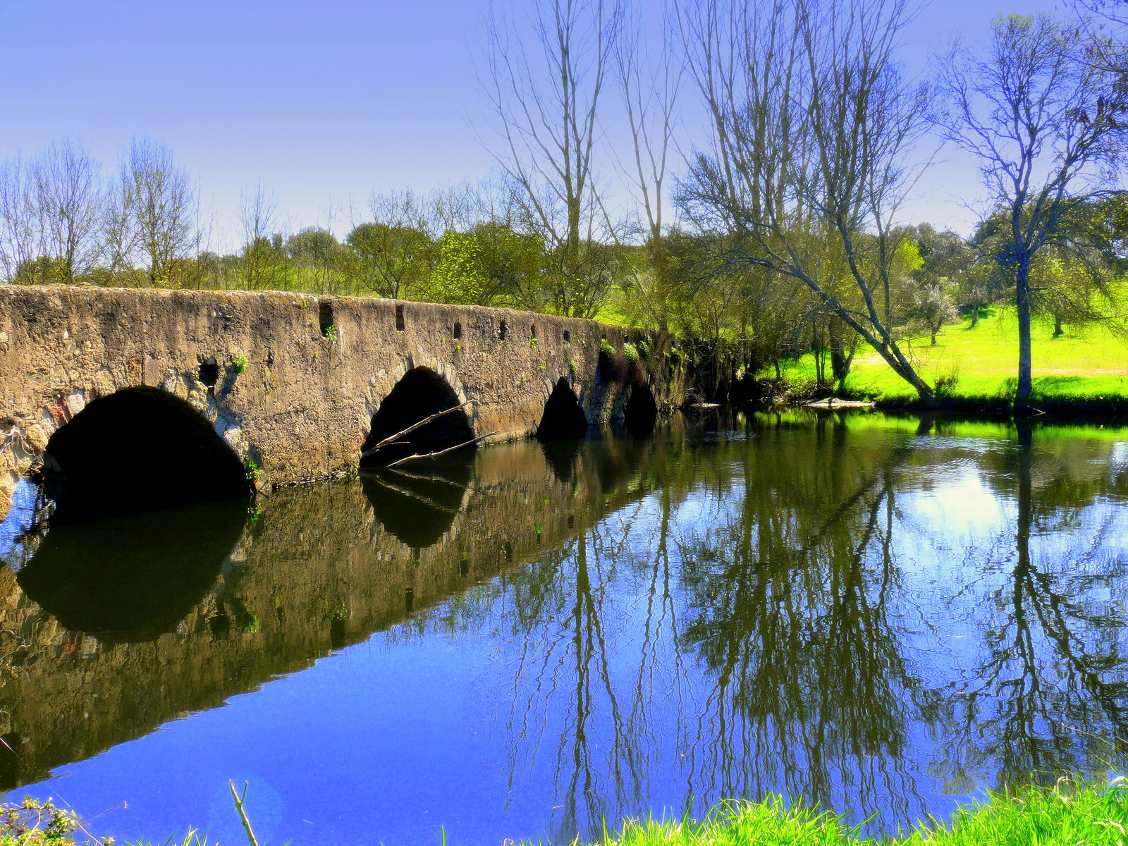 Bezoek de wieg van de portwijn in de Douro-vallei - AmbianceTravel