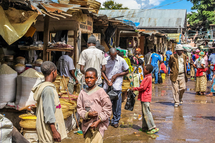 Het beste van Tanzania en Zanzibar, individueel of in een klein groep - AmbianceTravel